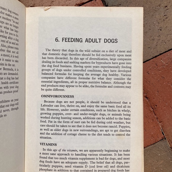 2 Dog Care Female The Labrador Retriever Canine Vintage Black Lab Books Animals - Picture 5 of 14